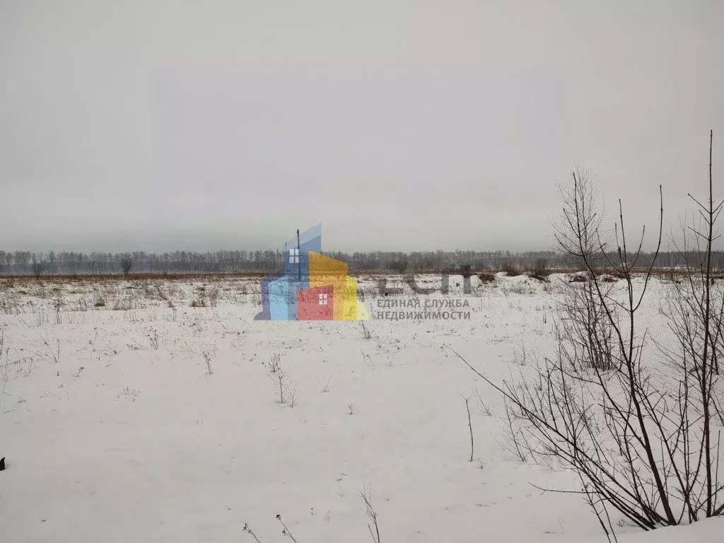 Участок в Тульская область, Ясногорск  (15.0 сот.) - Фото 1