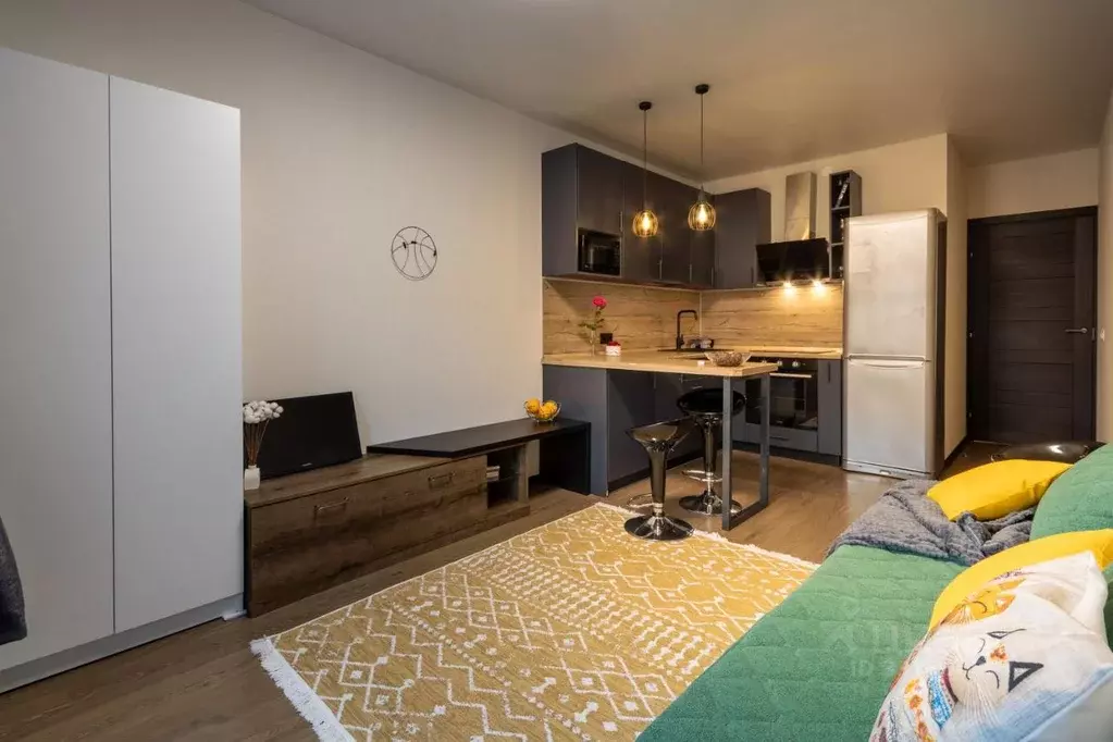 Студия Санкт-Петербург ул. Летчика Лихолетова, 14к2 (24.5 м) - Фото 1
