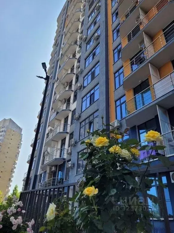 1-к кв. Краснодарский край, Сочи ул. Гастелло, 27Б (32.0 м) - Фото 2