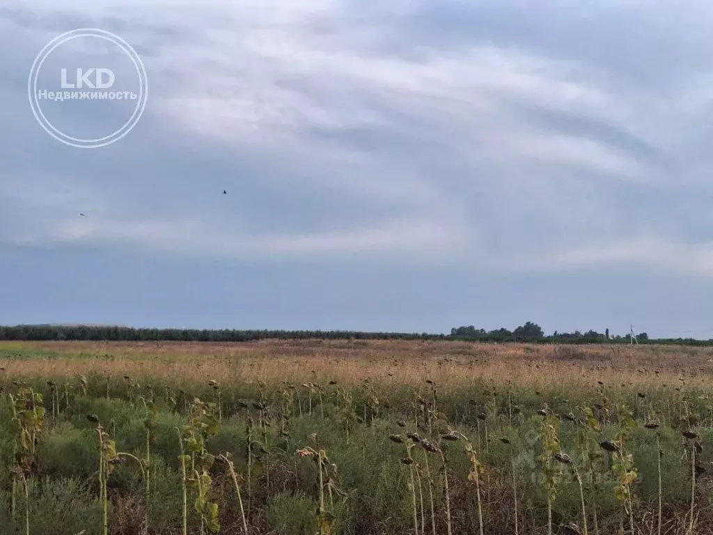 Участок в Краснодарский край, Краснодар  (135.73 сот.) - Фото 2