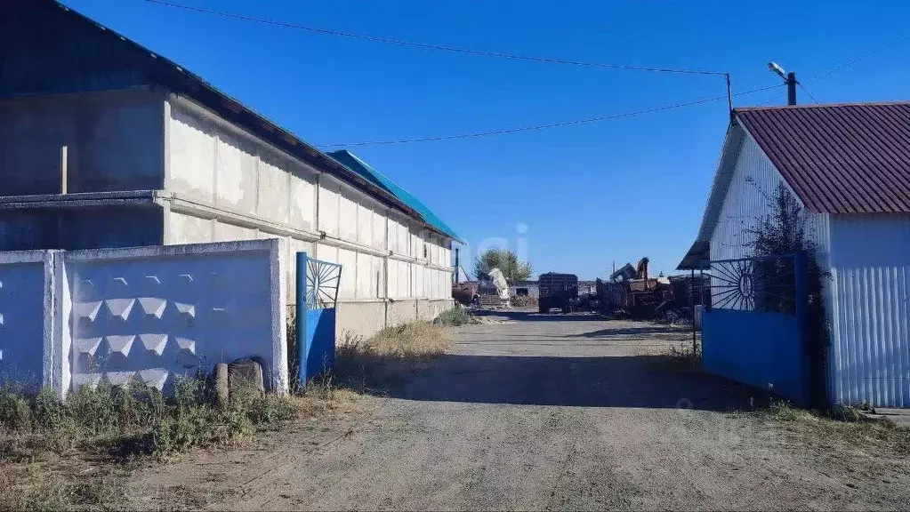 Помещение свободного назначения в Белгородская область, Новооскольский ... - Фото 1