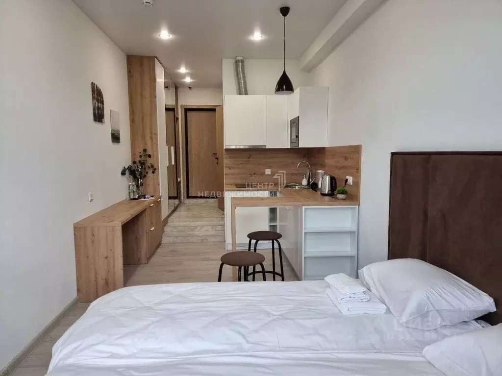 Студия Татарстан, Казань ул. Толстого, 41к2 (21.8 м) - Фото 1