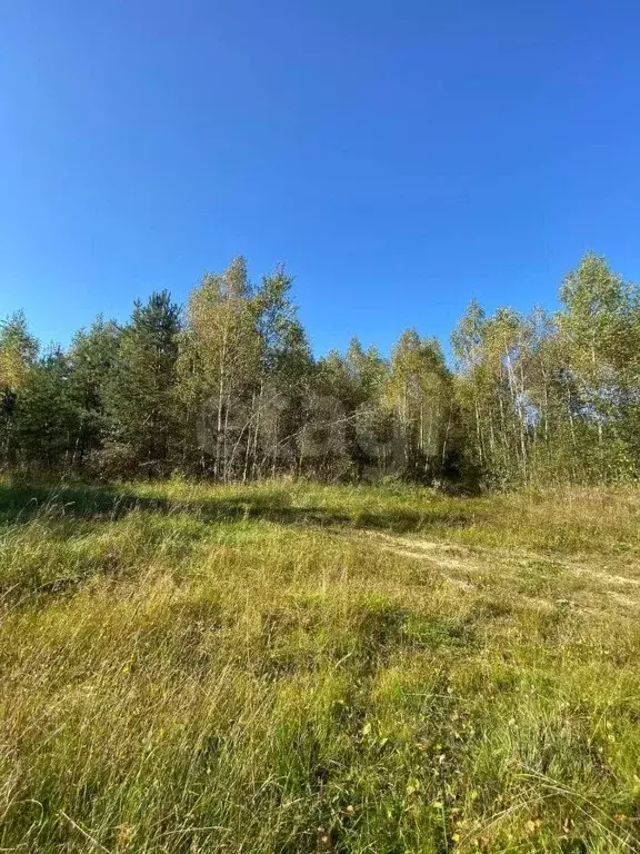 Участок в Брянская область, Выгоничский район, Хмелевское с/пос, д. ... - Фото 2
