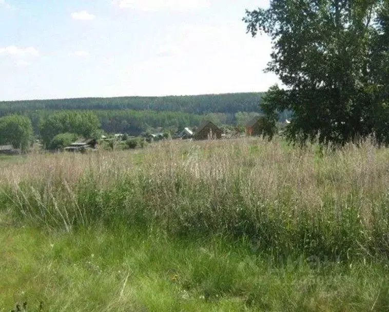 Участок в Свердловская область, Каменский городской округ, с. ... - Фото 2