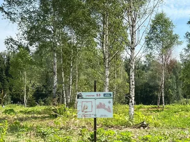 Участок 4,9 сот. (ИЖС) - Фото 0