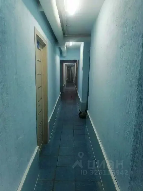 Помещение свободного назначения в Иркутская область, Иркутск ул. ... - Фото 2