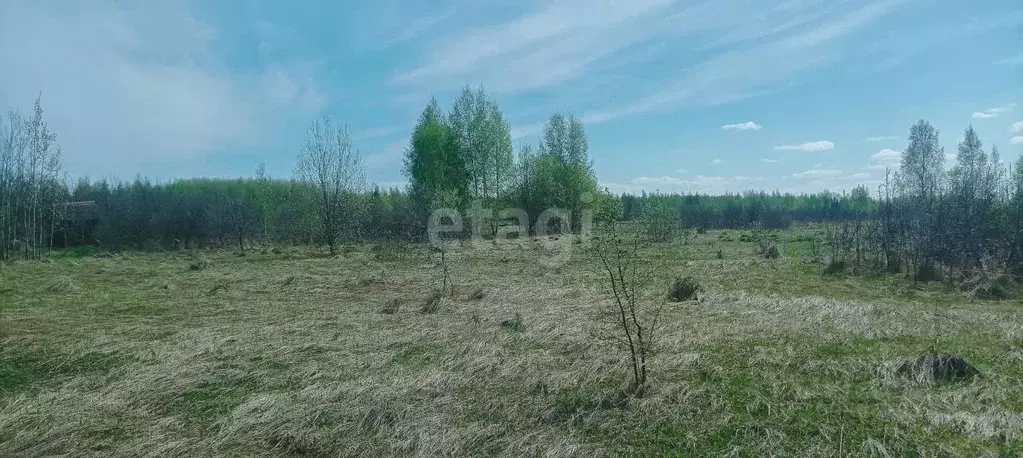 Участок в Мордовия, Кочкуровский район, с. Булгаково  (10.48 сот.) - Фото 0