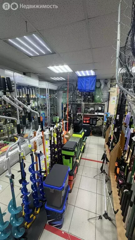 Помещение свободного назначения (85 м) - Фото 2