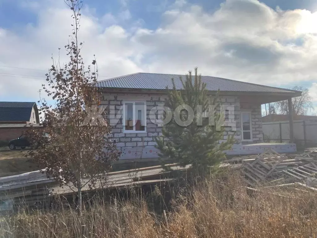 Дом в Новосибирская область, Ордынский район, с. Вагайцево ул. ... - Фото 2