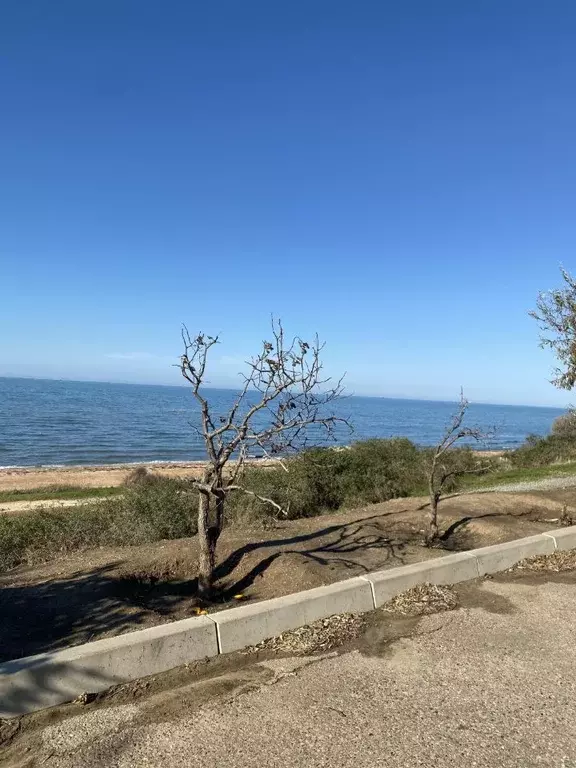 Участок в Краснодарский край, Темрюкский район, Запорожское с/пос, ... - Фото 1