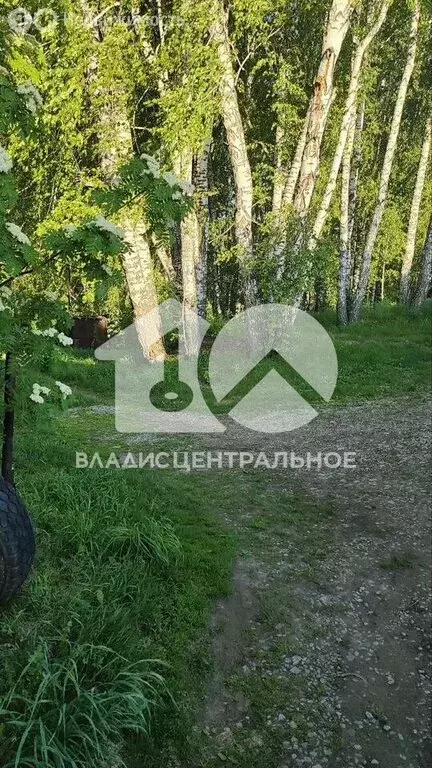 Участок в Новосибирский район, Морской сельсовет, садовое товарищество ... - Фото 0