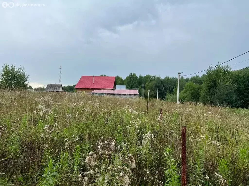 Участок в Кемеровский муниципальный округ, деревня Береговая (15.7 м) - Фото 0