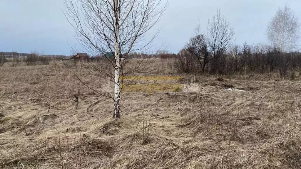 Участок в Кемеровская область, Кемеровский муниципальный округ, пос. ... - Фото 1