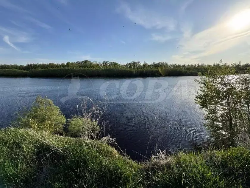 Участок в Тюменская область, Тюменский район, с. Созоново Береговая ... - Фото 1