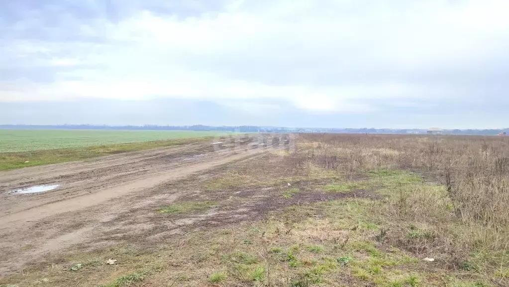 Участок в Адыгея, Майкоп ул. Маршала Василевского (6.0 сот.) - Фото 1