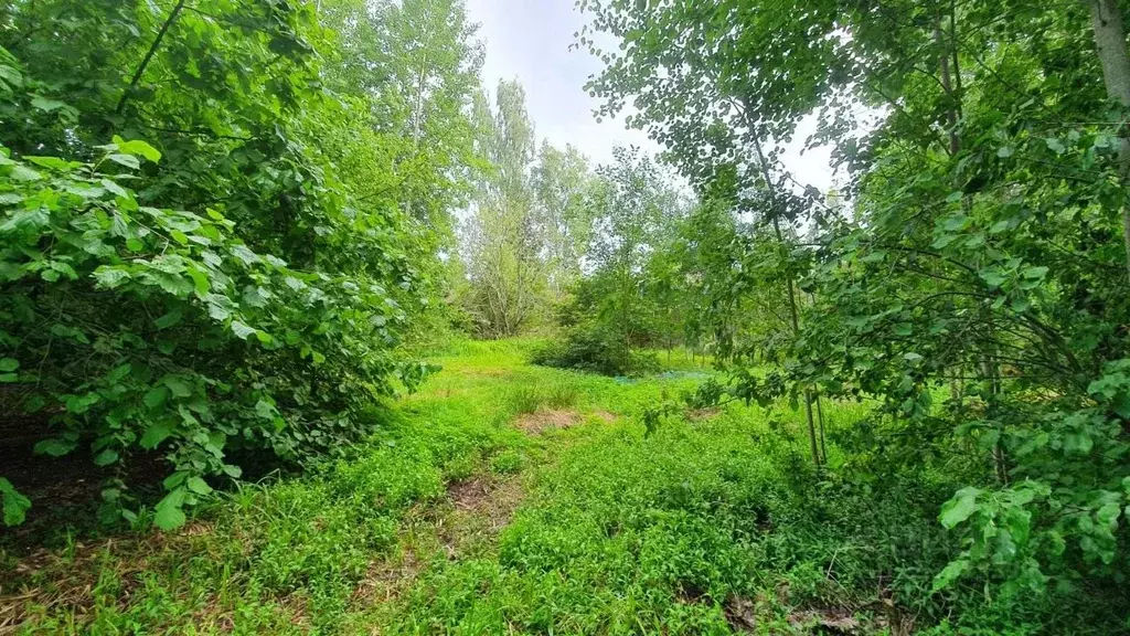 Участок в Ленинградская область, Гатчинский район, Вырица городской ... - Фото 1