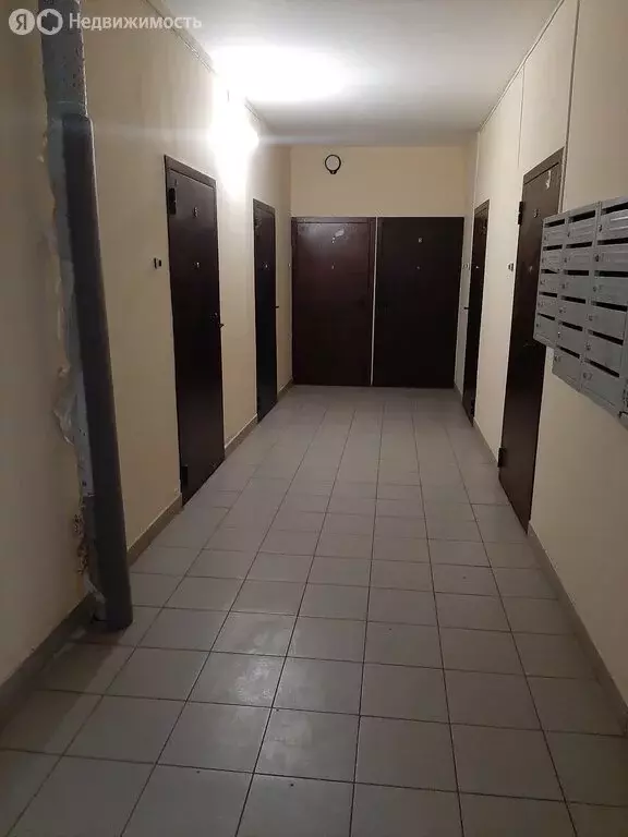 Квартира-студия: село Каменки, Новая улица, 14 (23 м) - Фото 0