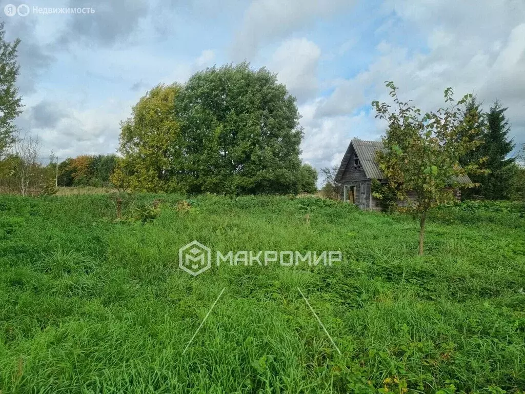 Участок в Рабитицкое сельское поселение, деревня Заполье (35 м) - Фото 1