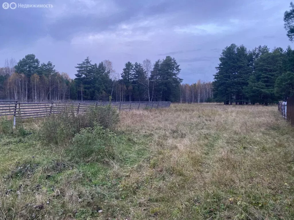 Участок в Челябинская область, Каслинский муниципальный округ, посёлок ... - Фото 0