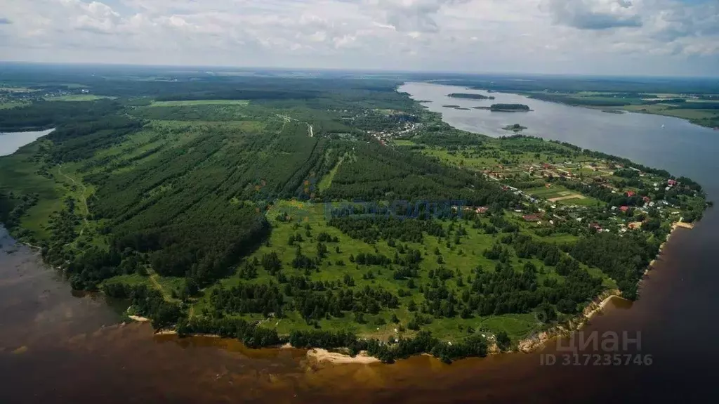 Участок в Нижегородская область, Чкаловск городской округ, д. Малинино ... - Фото 1