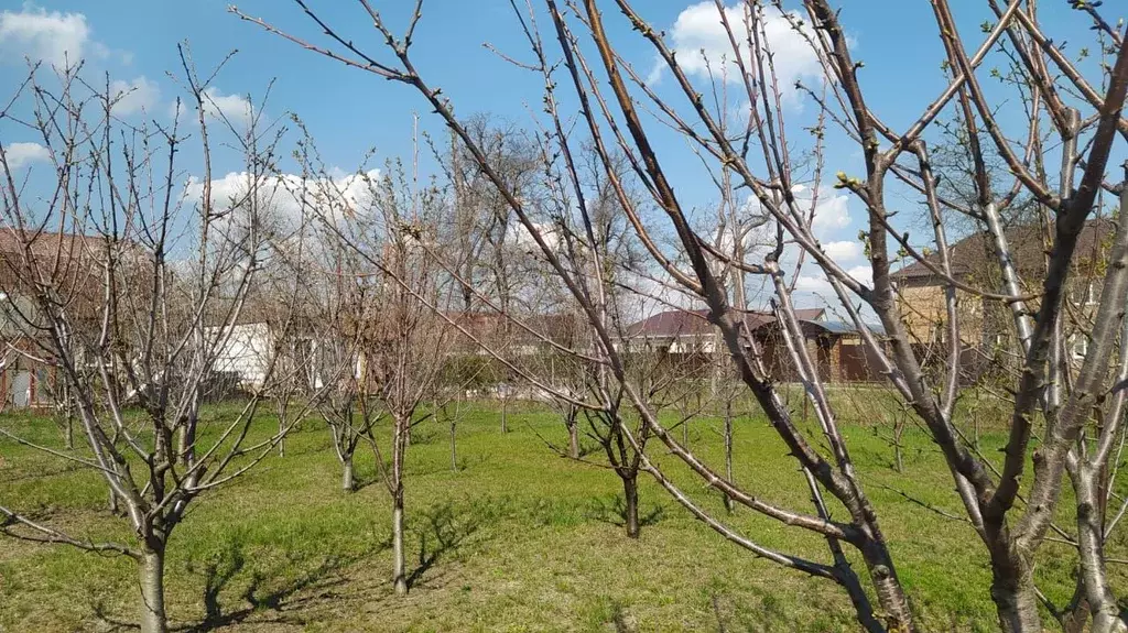 Участок 8,2 сот. (ИЖС) - Фото 0