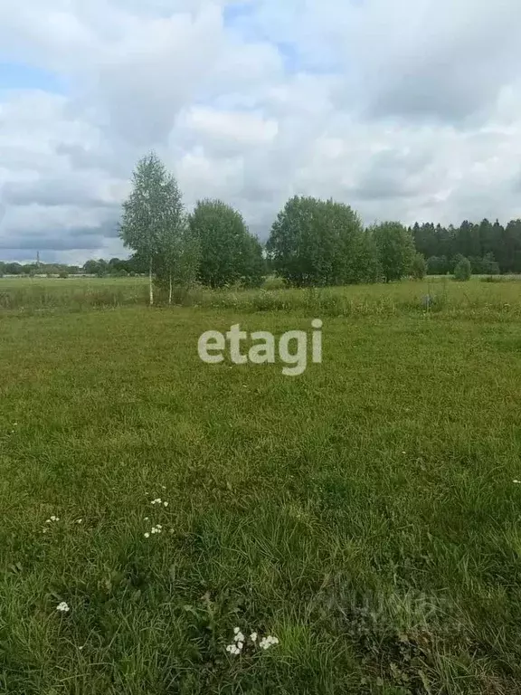 Участок в Ленинградская область, Гатчинский район, д. Сяськелево ул. ... - Фото 1