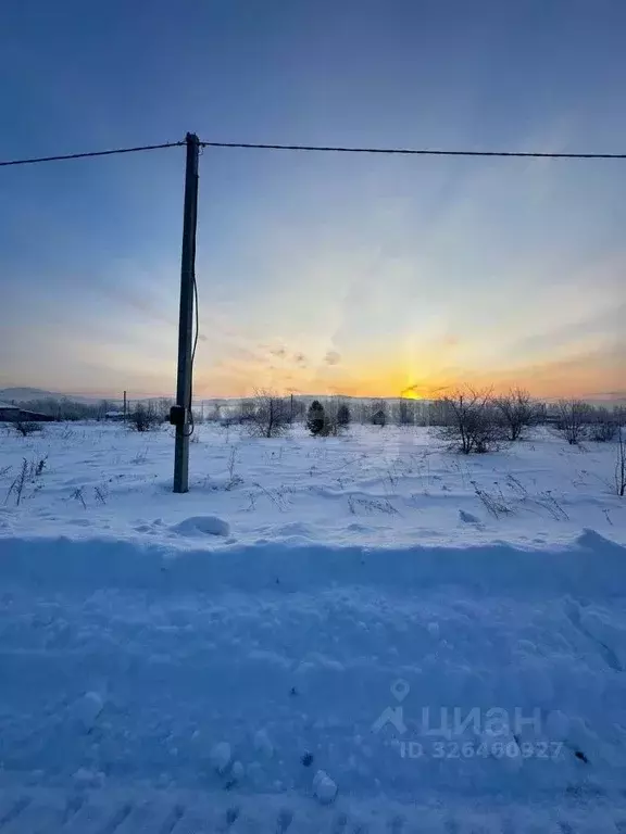 Участок в Алтай, Майминский район, с. Подгорное  (13.0 сот.) - Фото 1