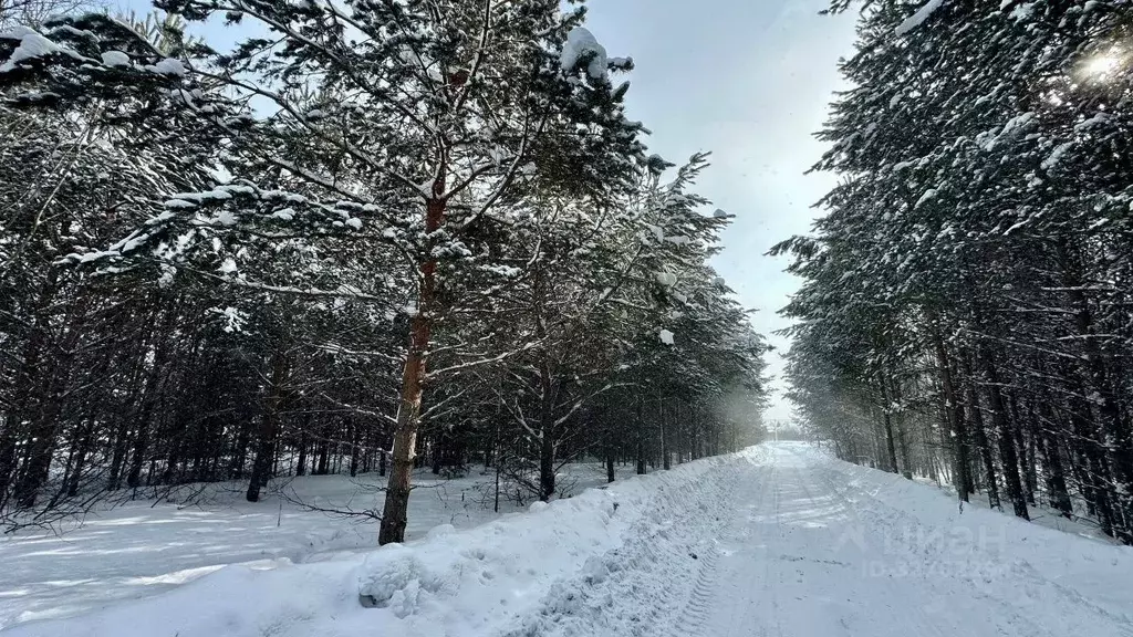 Участок в Свердловская область, Первоуральск ул. Ватутина (7.63 сот.) - Фото 1
