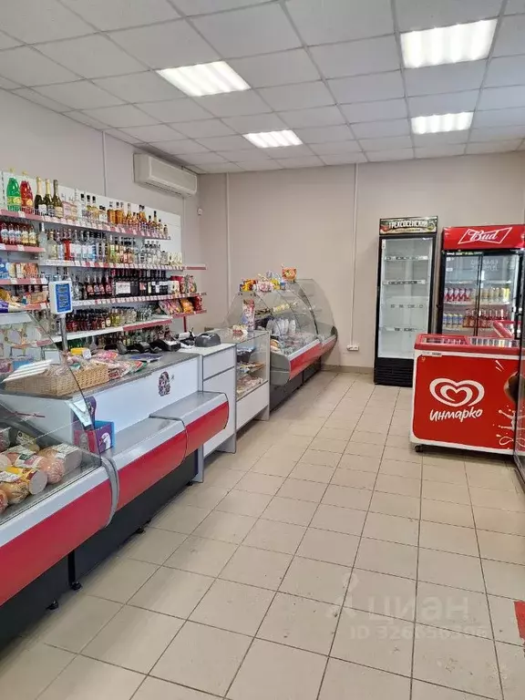 Торговая площадь в Ленинградская область, Всеволожский район, ... - Фото 2