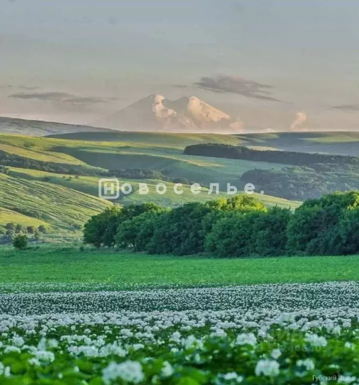Участок в Ставропольский край, Предгорный муниципальный округ, пос. ... - Фото 0