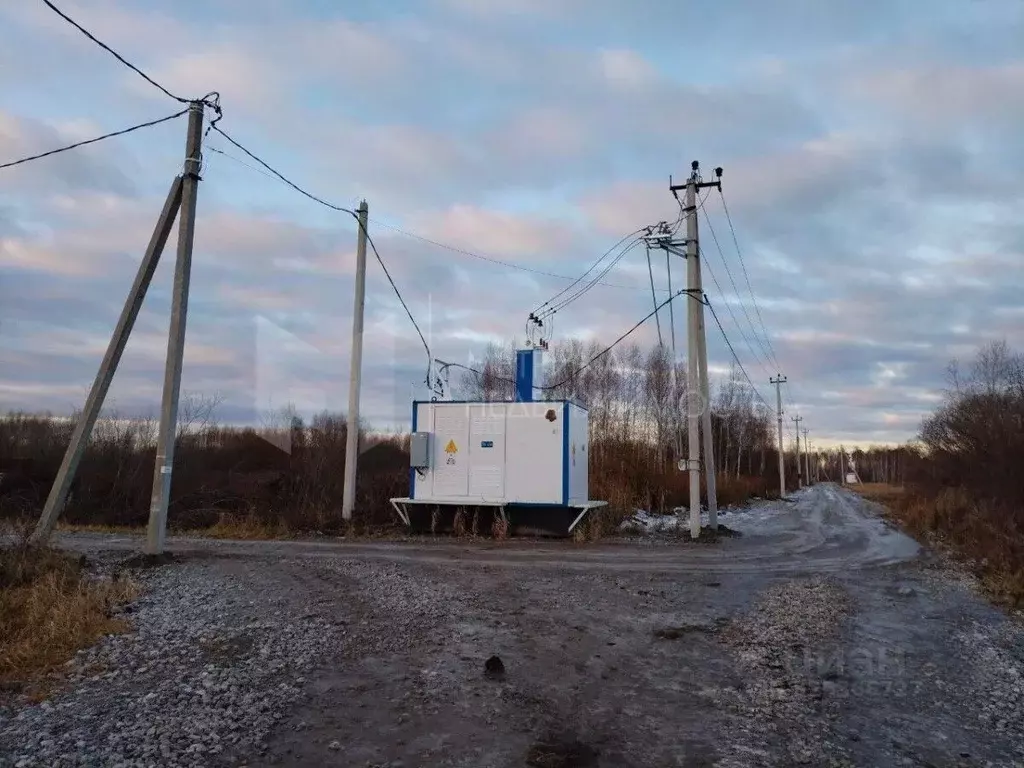 Участок в Тюменская область, Нижнетавдинский муниципальный округ, ... - Фото 2