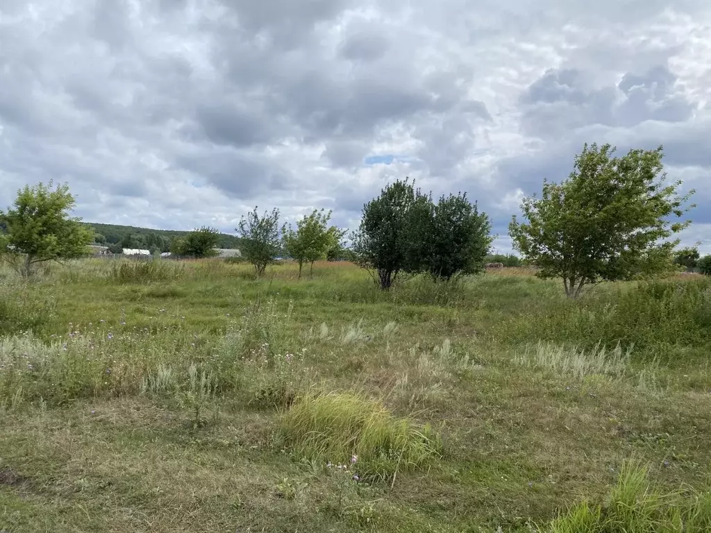 Участок в Ульяновская область, Мелекесский район, Николочеремшанское ... - Фото 1