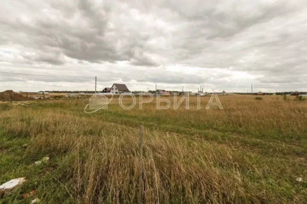 Участок в Тюменская область, Тюменский муниципальный округ, с. ... - Фото 1