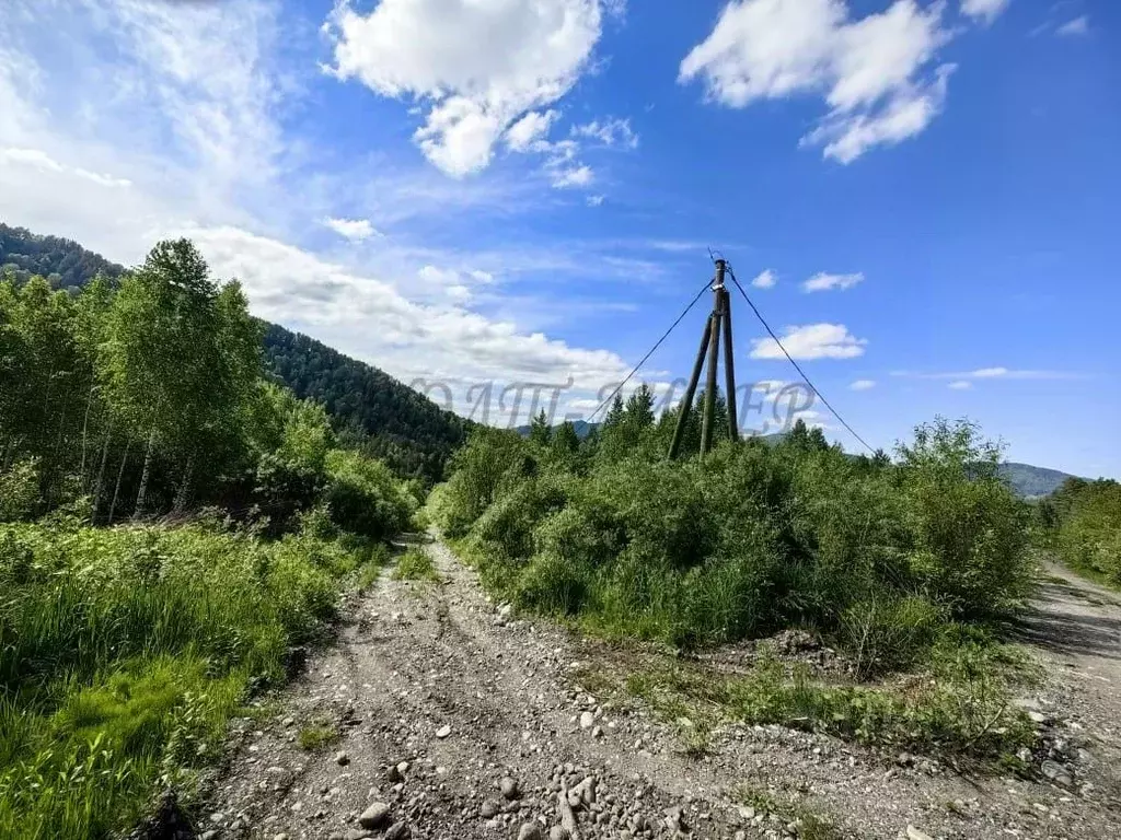 участок в алтай, майминский район, с. озерное ул. центральная (12.0 . - Фото 0