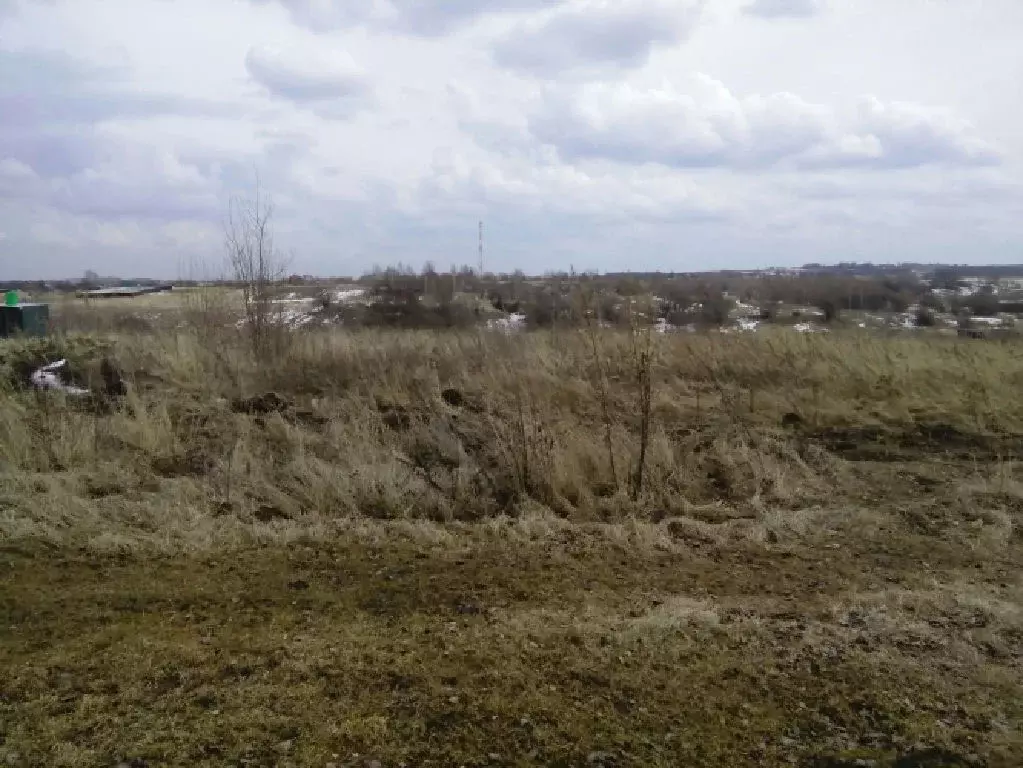 Продается участок в д. Горицы - Фото 1