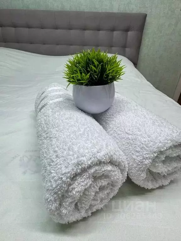 1-к кв. Пензенская область, Пенза ул. Фурманова, 19 (36.0 м) - Фото 2