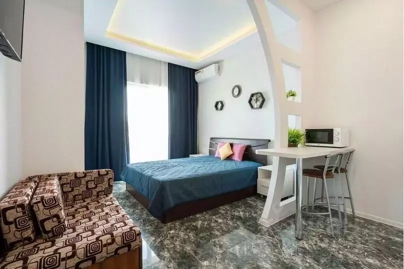 1-к кв. Краснодарский край, Сочи ул. Ленина, 219/6Б (25.0 м) - Фото 2