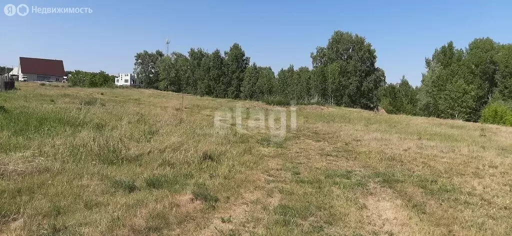 Участок в Ордынский район, поселок Чернаково, Рассветная улица (8.4 м) - Фото 0