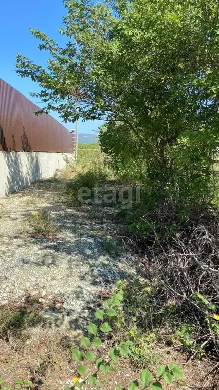 Участок в Краснодарский край, Новороссийск городской округ, с. ... - Фото 1