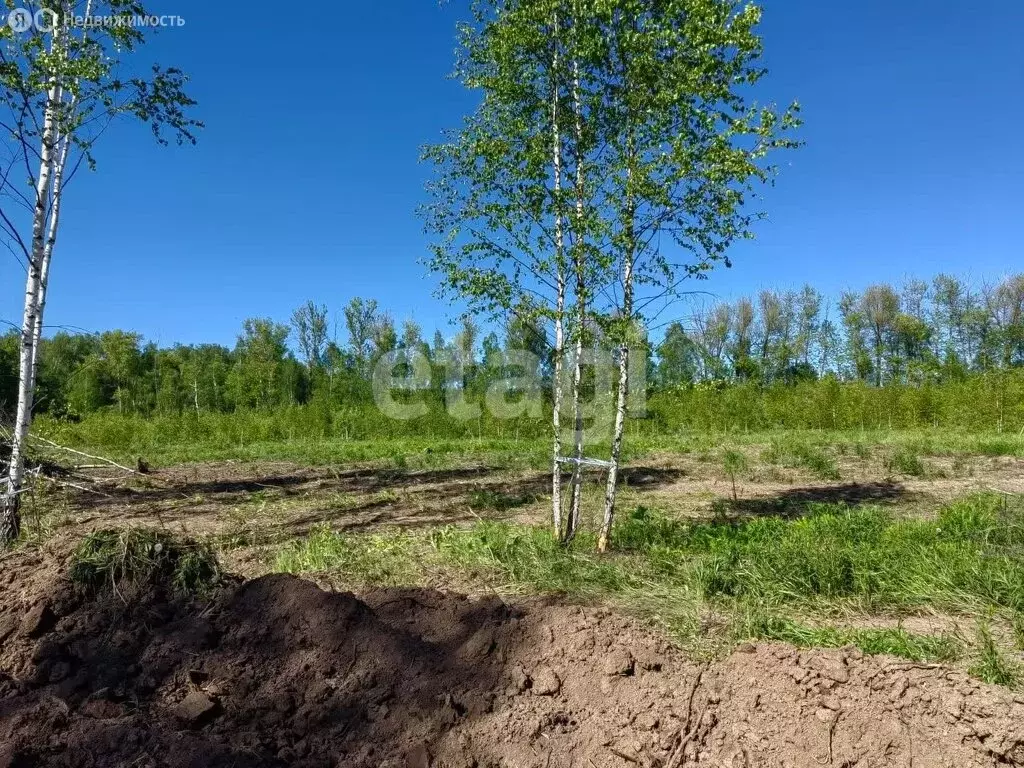 Участок в Тульская область, муниципальное образование Тула, село ... - Фото 1