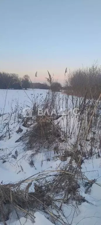 Участок в Воронежская область, Новоусманский район, с. Рогачевка  ... - Фото 2