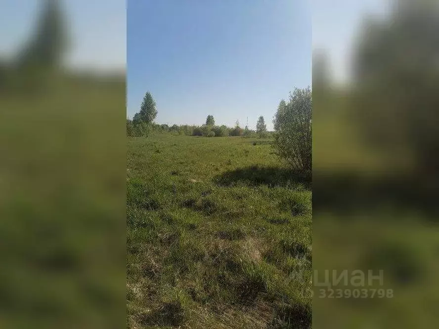 Участок в Московская область, Сергиево-Посадский городской округ, д. ... - Фото 2