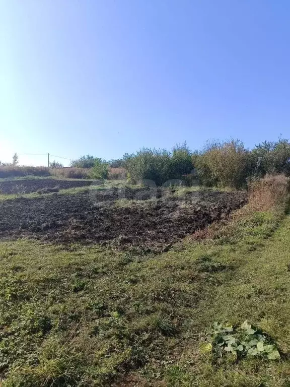 Участок в Брянская область, Брянский район, Снежское с/пос, пос. ... - Фото 1