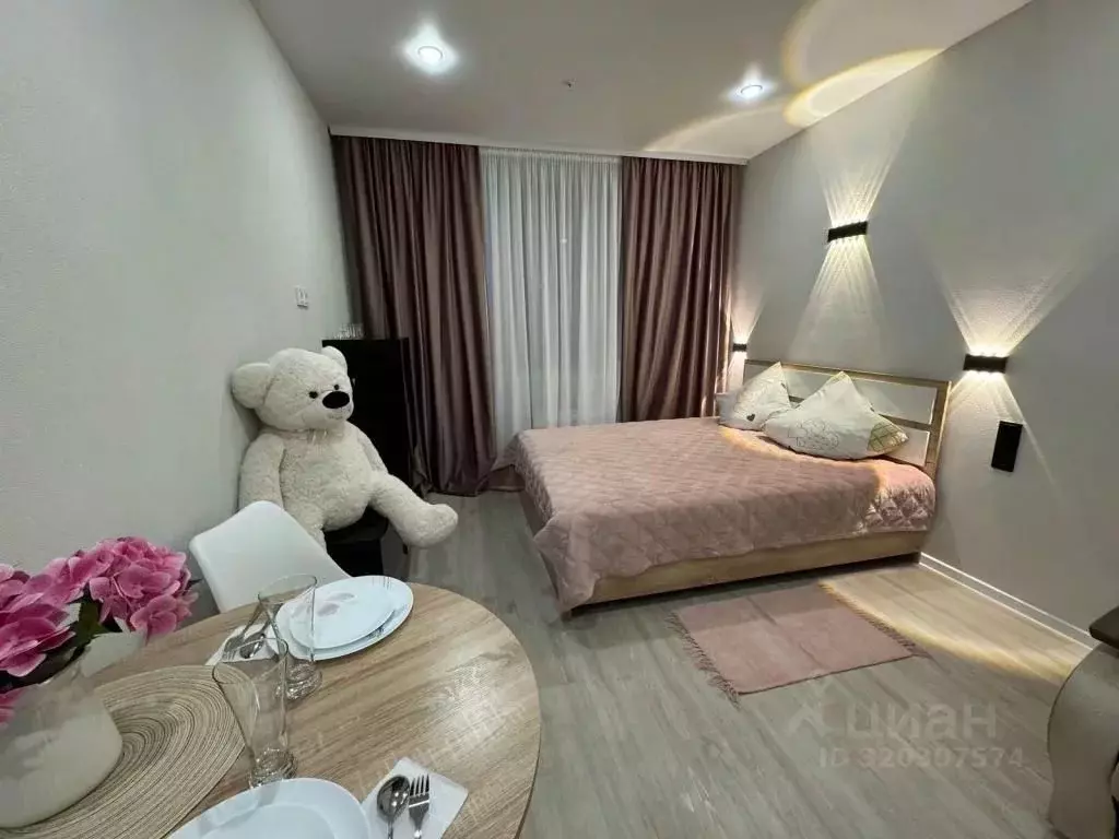 1-к кв. Новосибирская область, Новосибирск ул. Кирова, 113/2 (25.0 м) - Фото 1