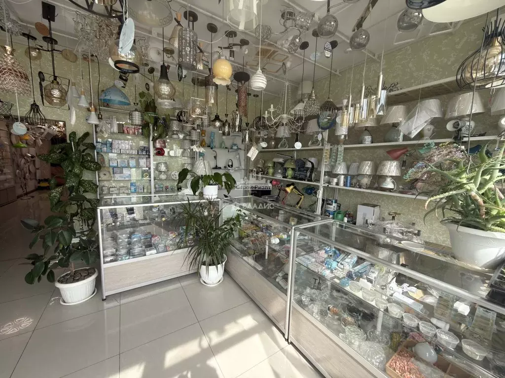 Помещение свободного назначения в Крым, Керчь ул. Павлика Морозова, 18 ... - Фото 0