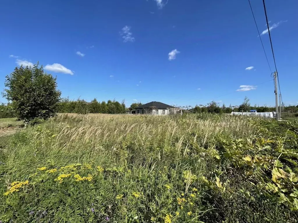 Участок в Московская область, Истра муниципальный округ, д. Котово, ... - Фото 1