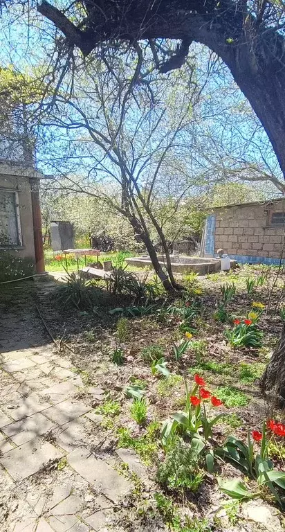 Дом 81 м на участке 6 сот. - Фото 1