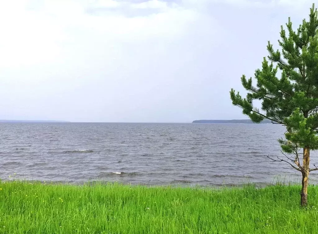 Купить Участок Юрково Сокольский Район Нижегородская Область