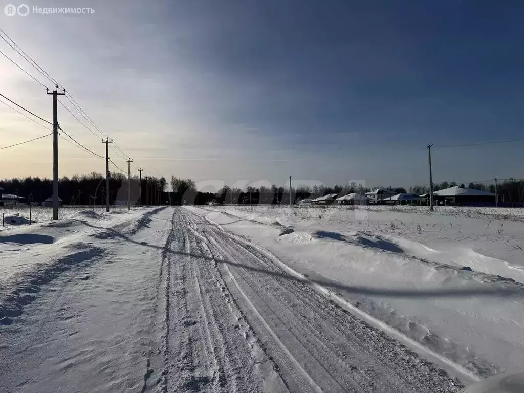 Участок в Тюменский муниципальный округ, деревня Падерина (8 м) - Фото 2