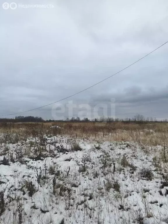 Участок в Кострома, посёлок Волжский (9.28 м) - Фото 2